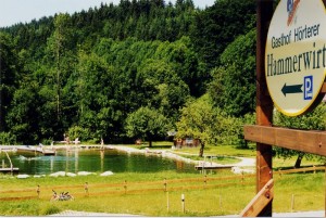 Schwimmteichanlage des Gasthof Hörterer