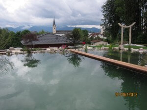 Schwimmteichanlage mit Wasserpflanzen und Findlingen im Wasser