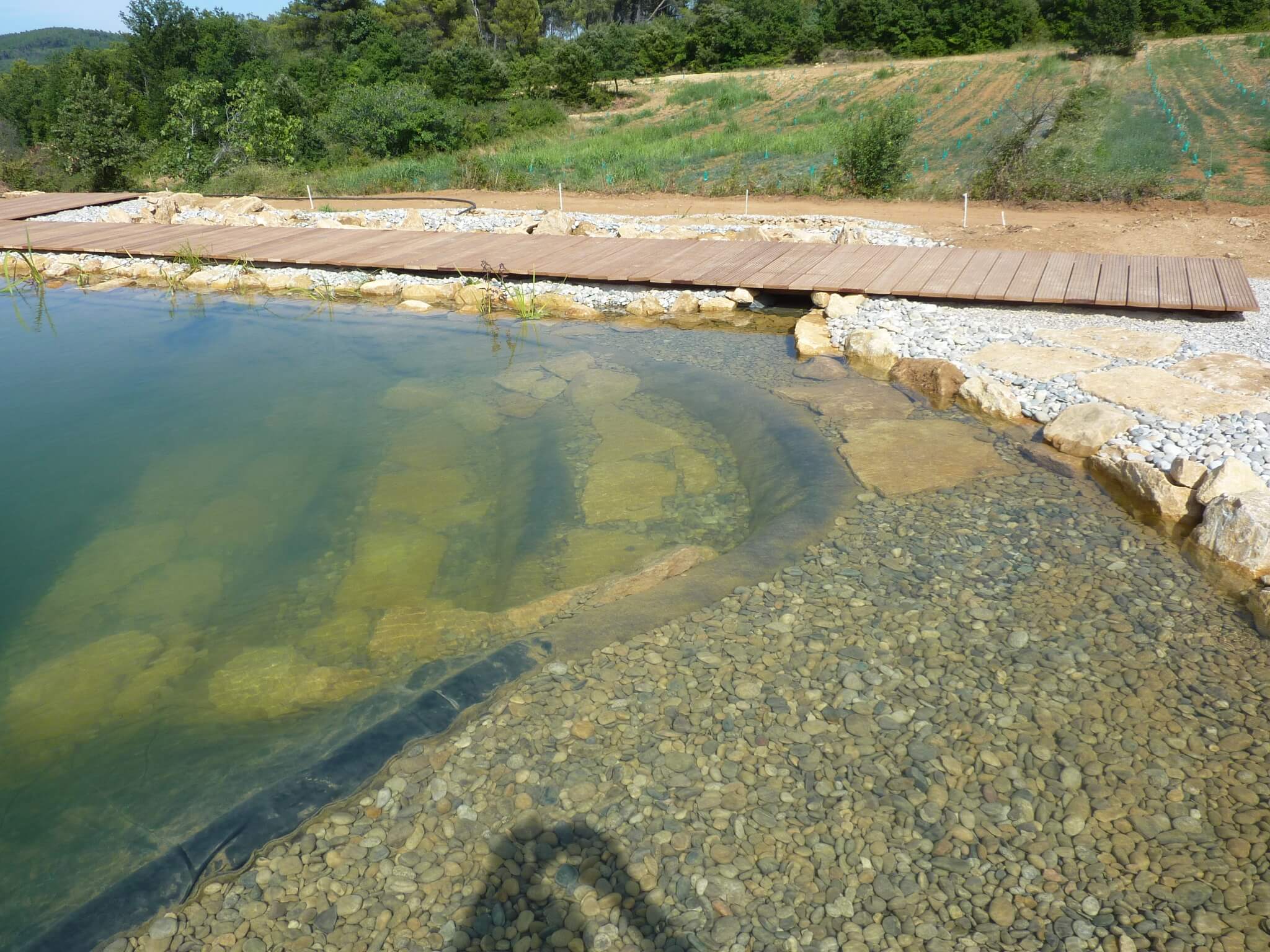 Schwimmteichanlage mit Steg und Findlingen im Wasser.