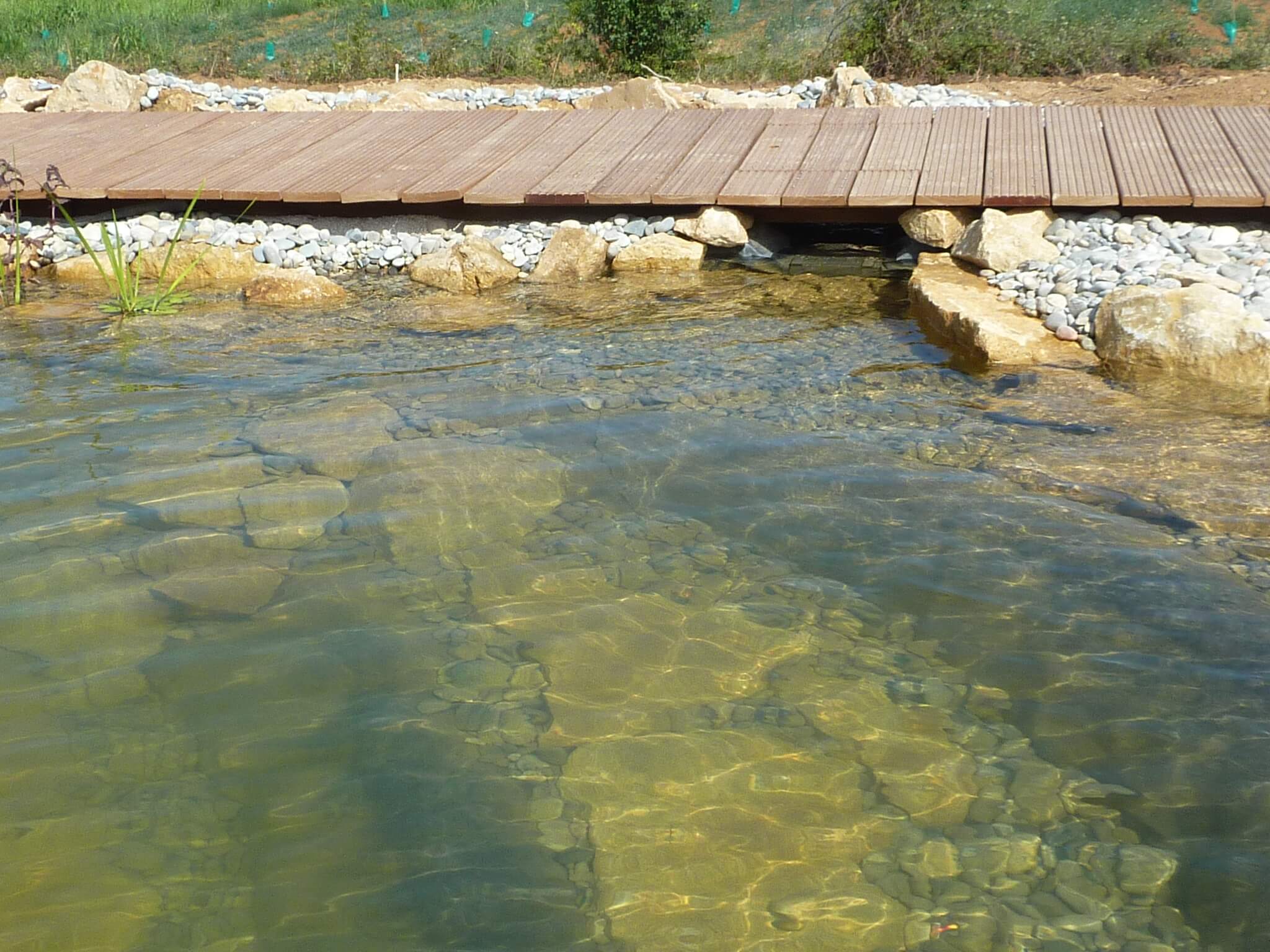 Schwimmteich mit Steg und Findlingen im Wasser