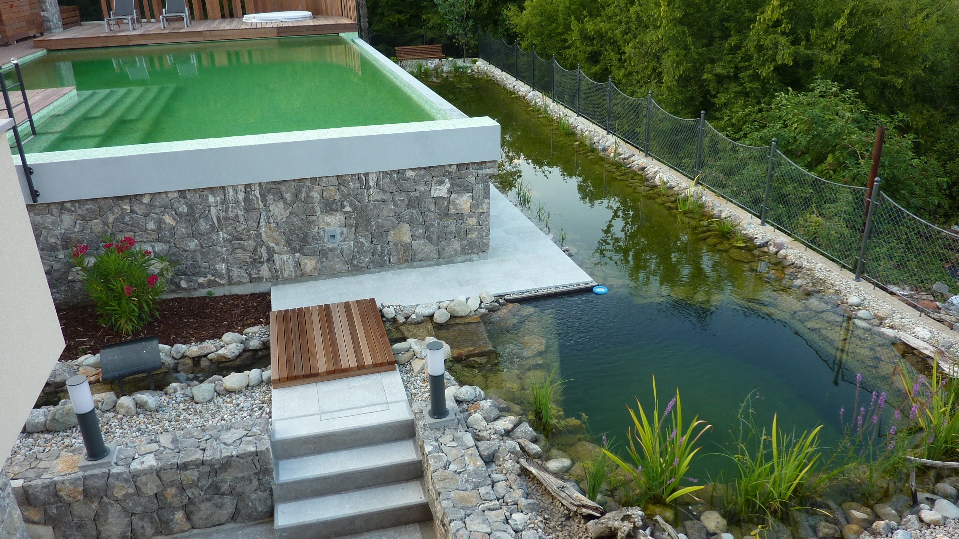 Schwimmteichanlage mit Wasserpflanzen und Findlingen im Wasser.